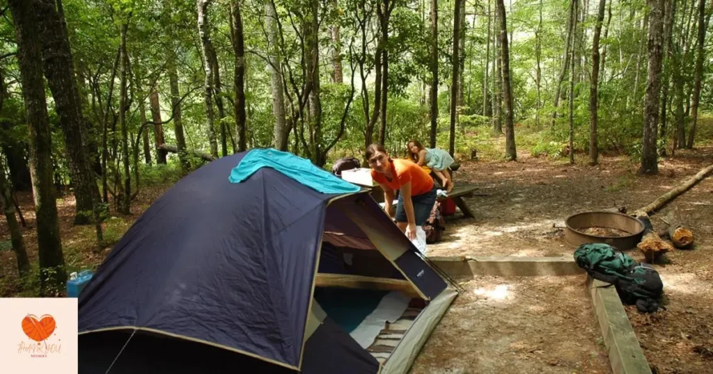 Camping in National Forests